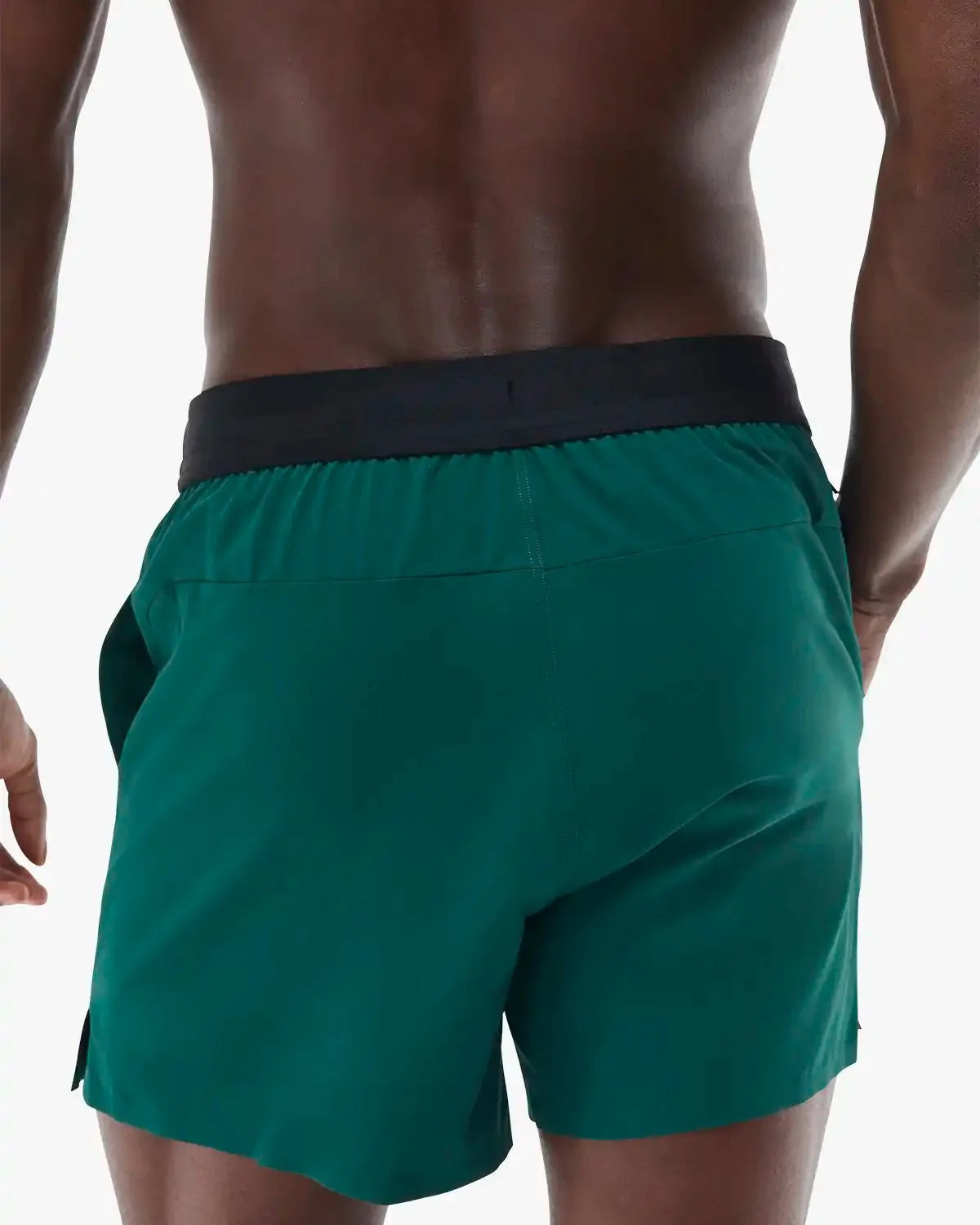 ::305 Evergreen