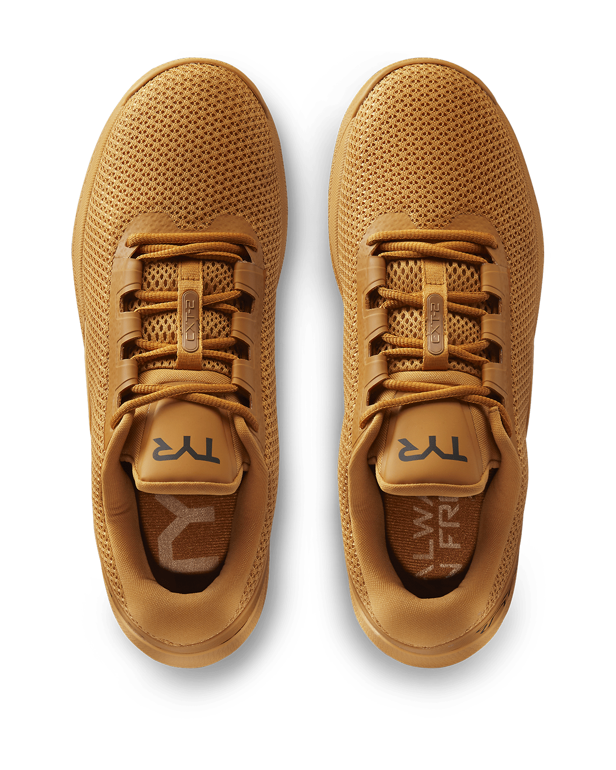 ::261 Camel