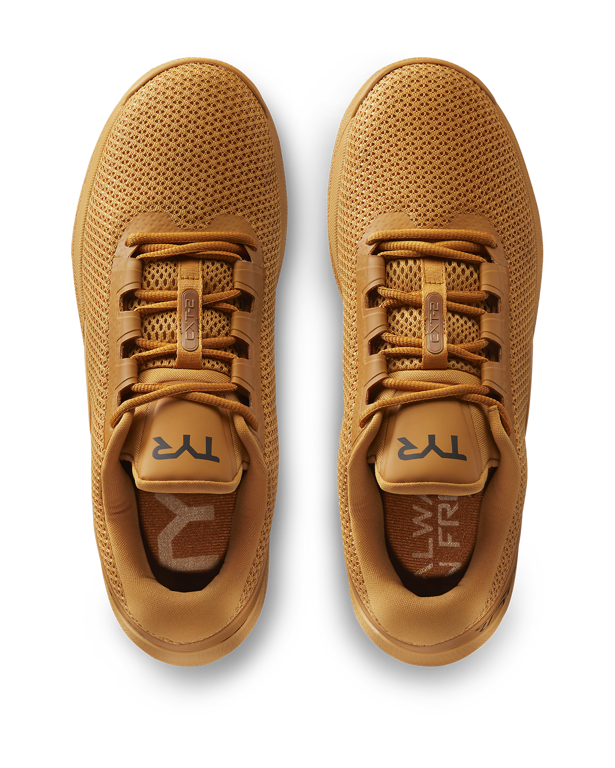 ::261 Camel