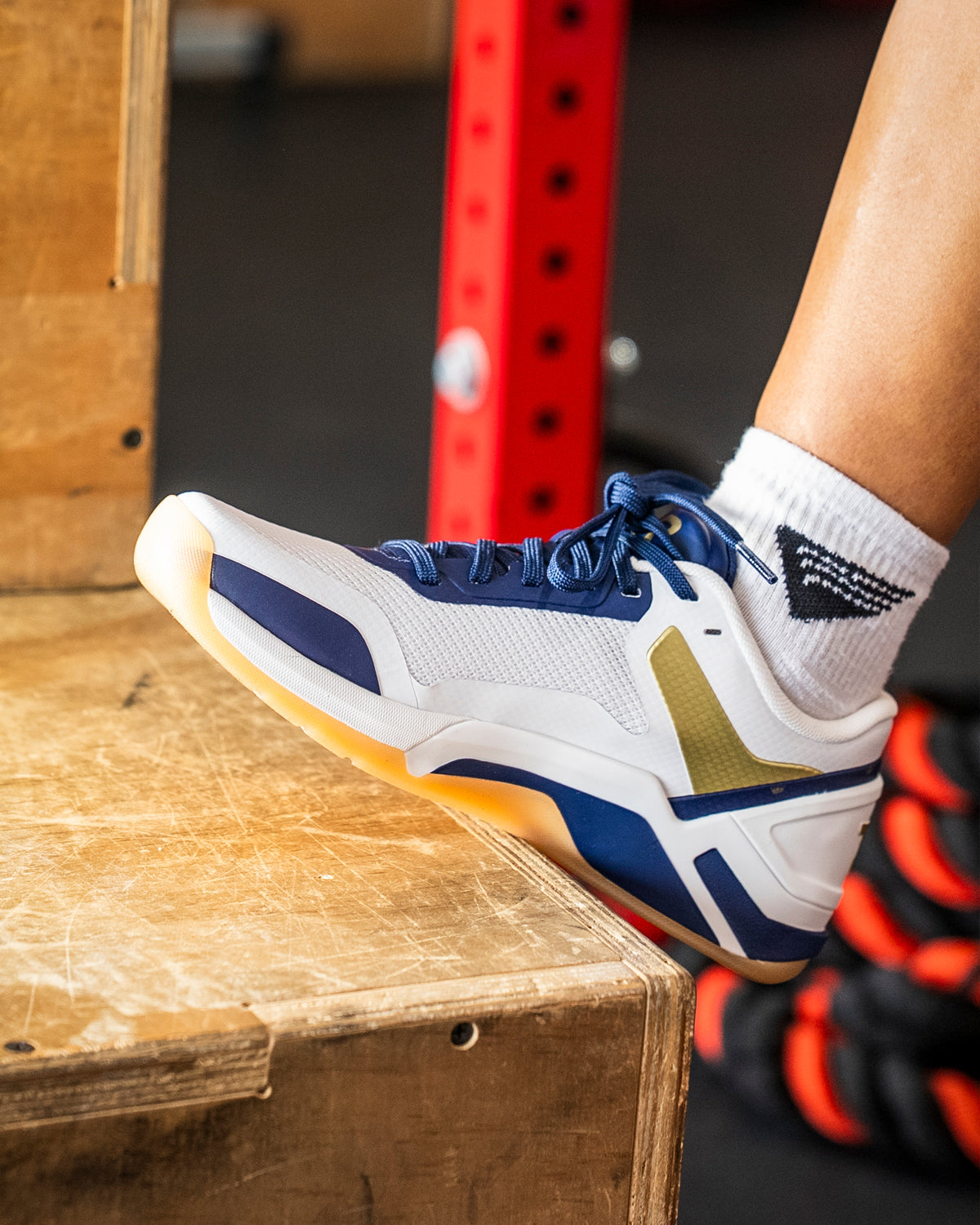 ::409 Navy/Gold