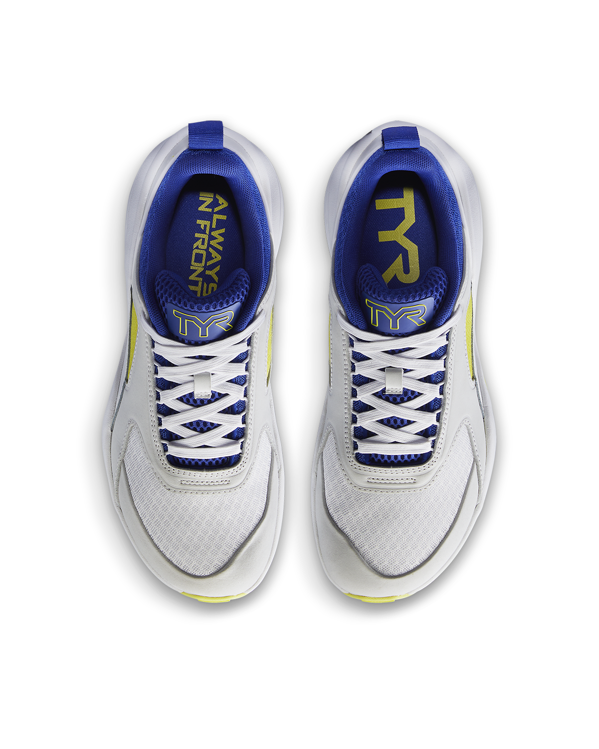 ::484 ROYAL/YLW