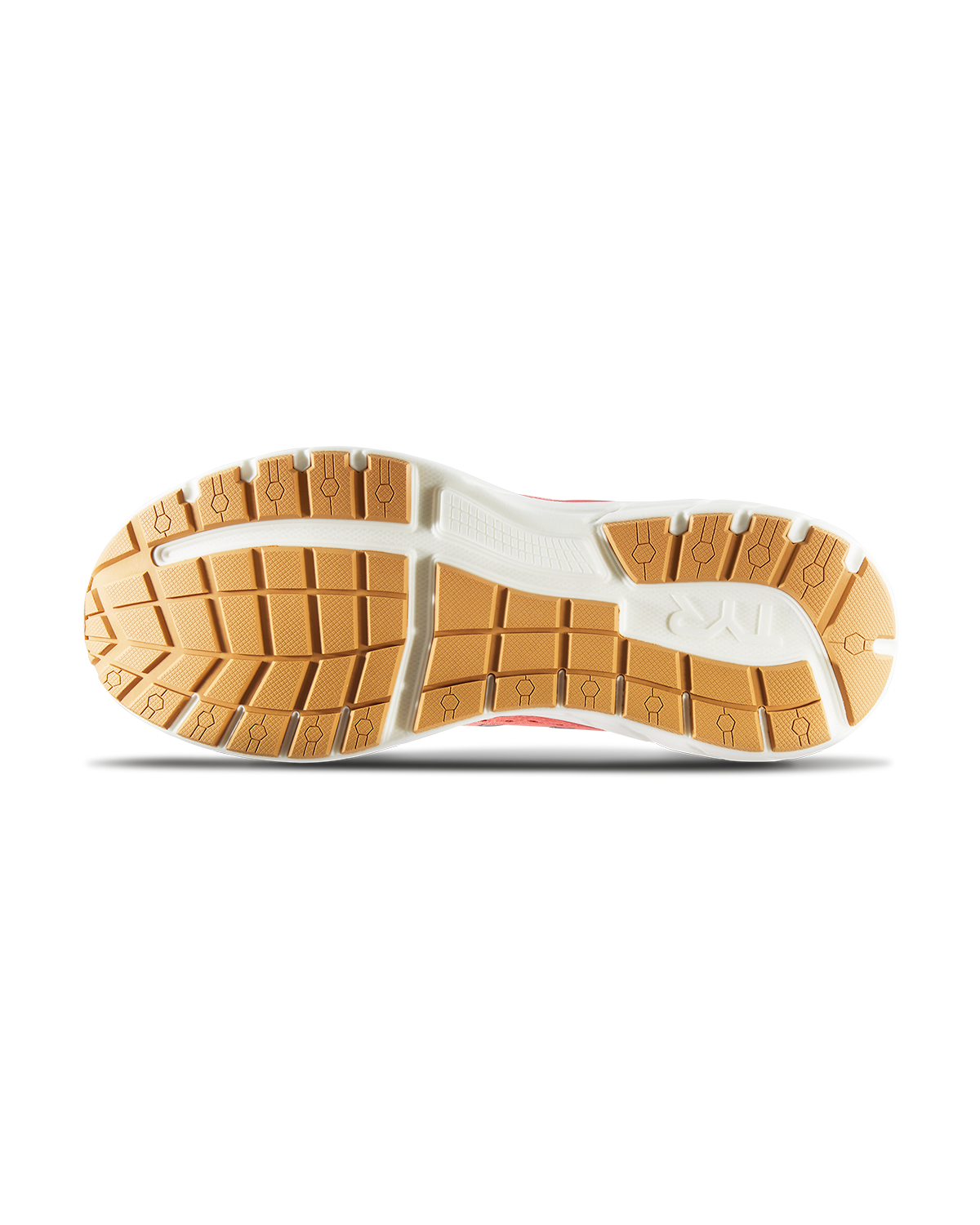 ::832 Coral