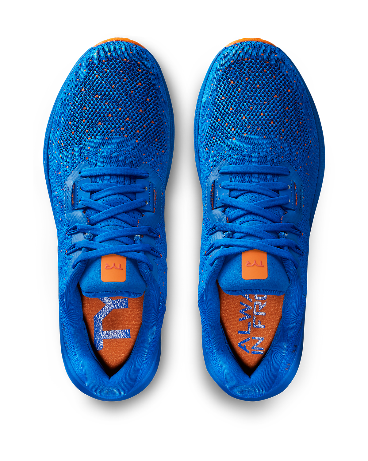::492 Blue/Orange