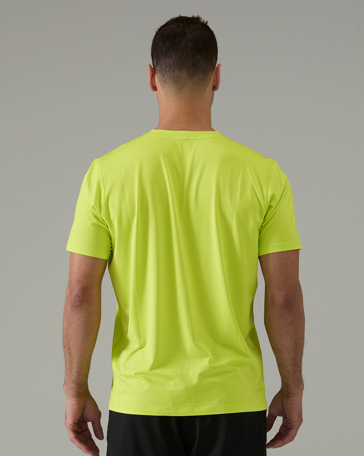 ::291 Neon