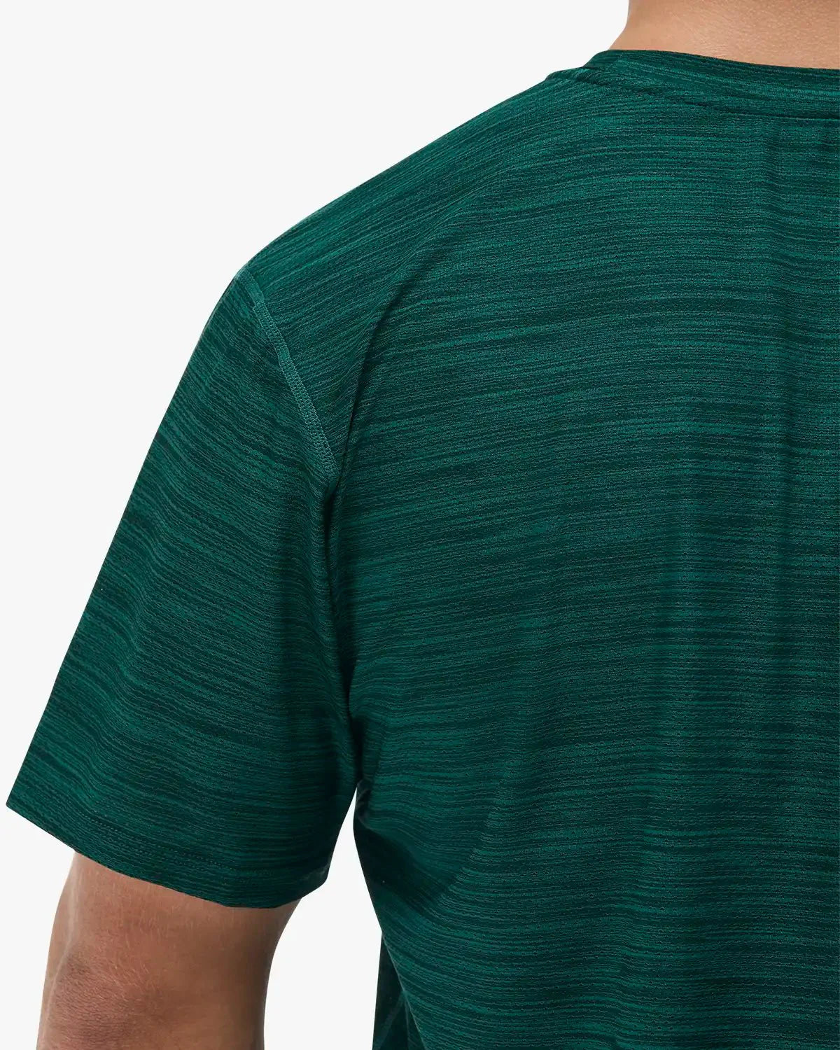 ::305 Evergreen