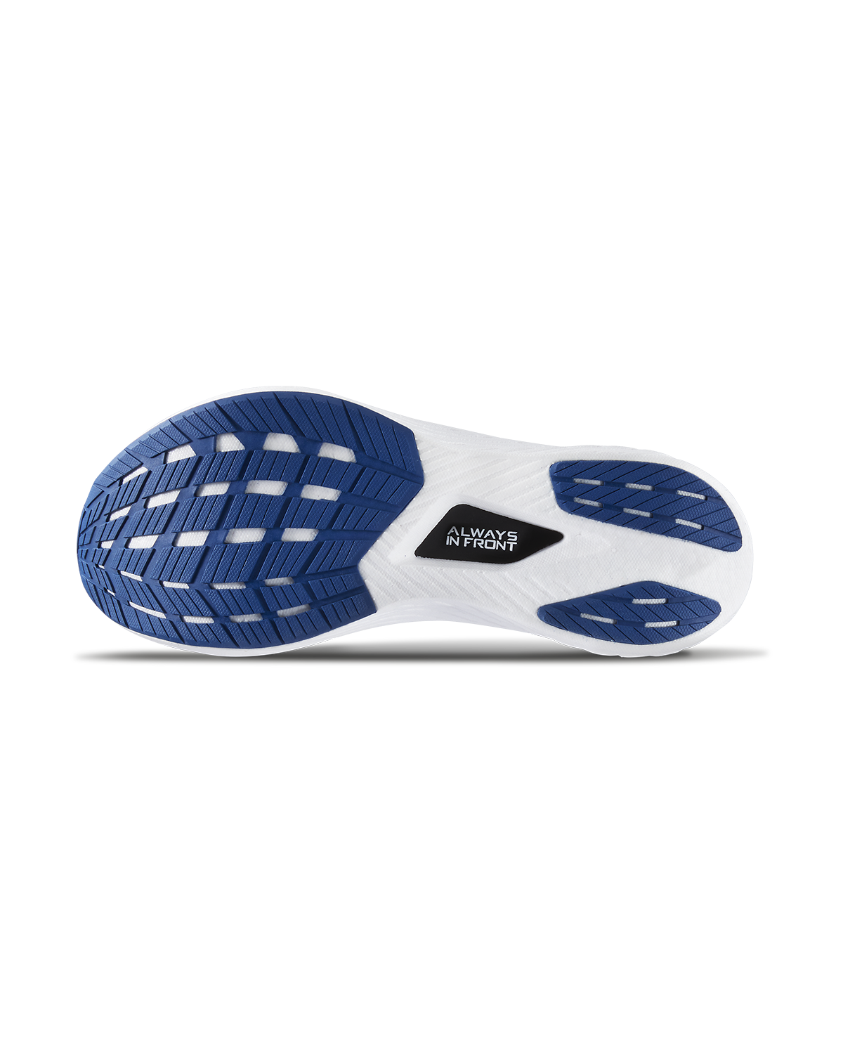 ::113 White/Royal