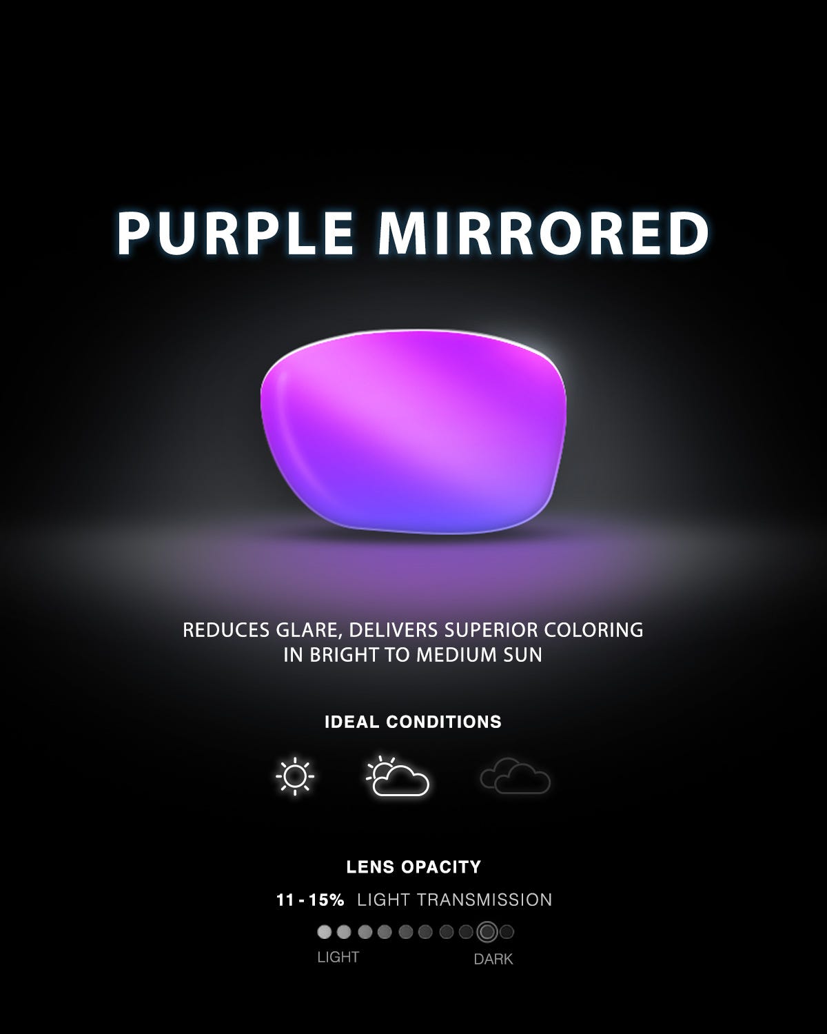 ::519 Purple/Navy