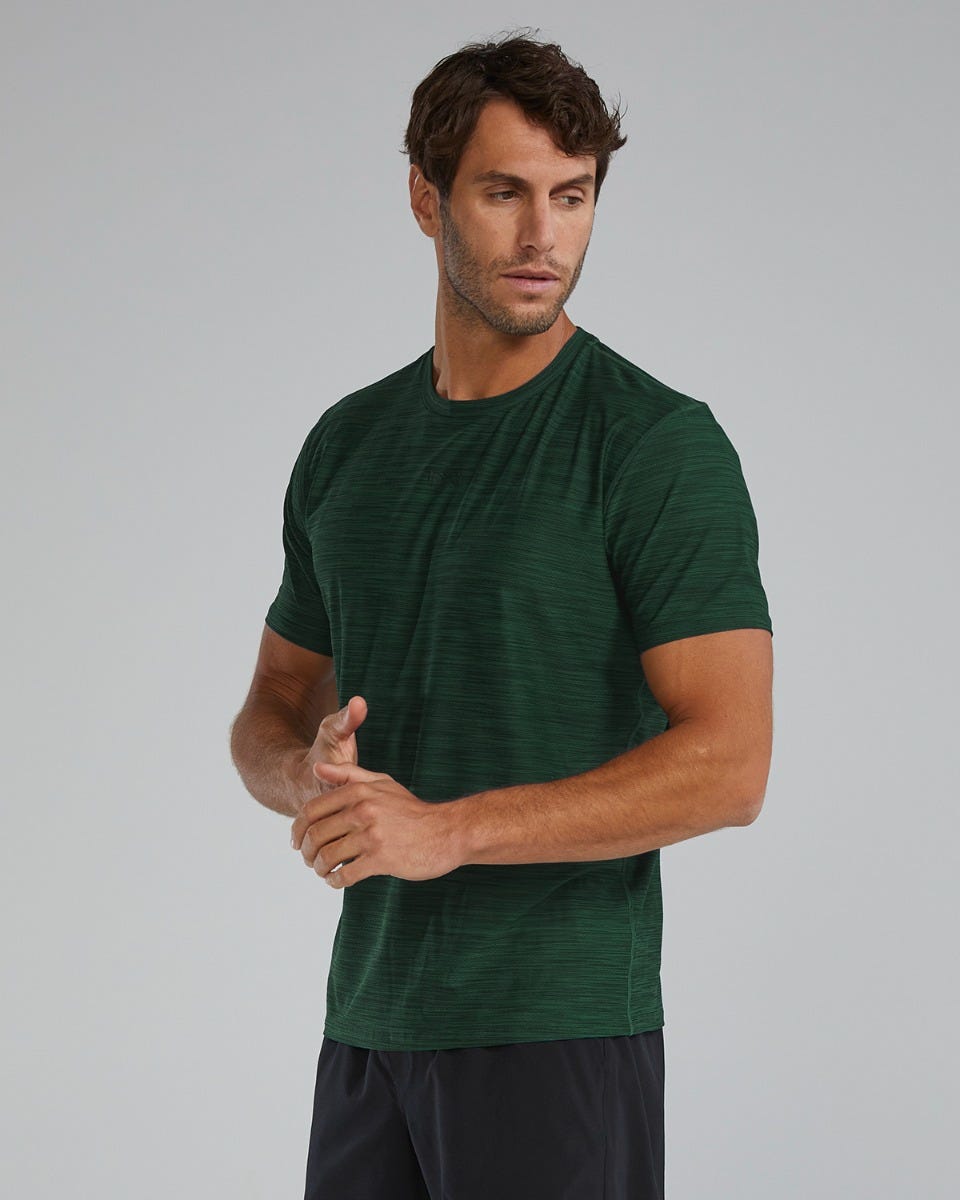 ::305 Evergreen
