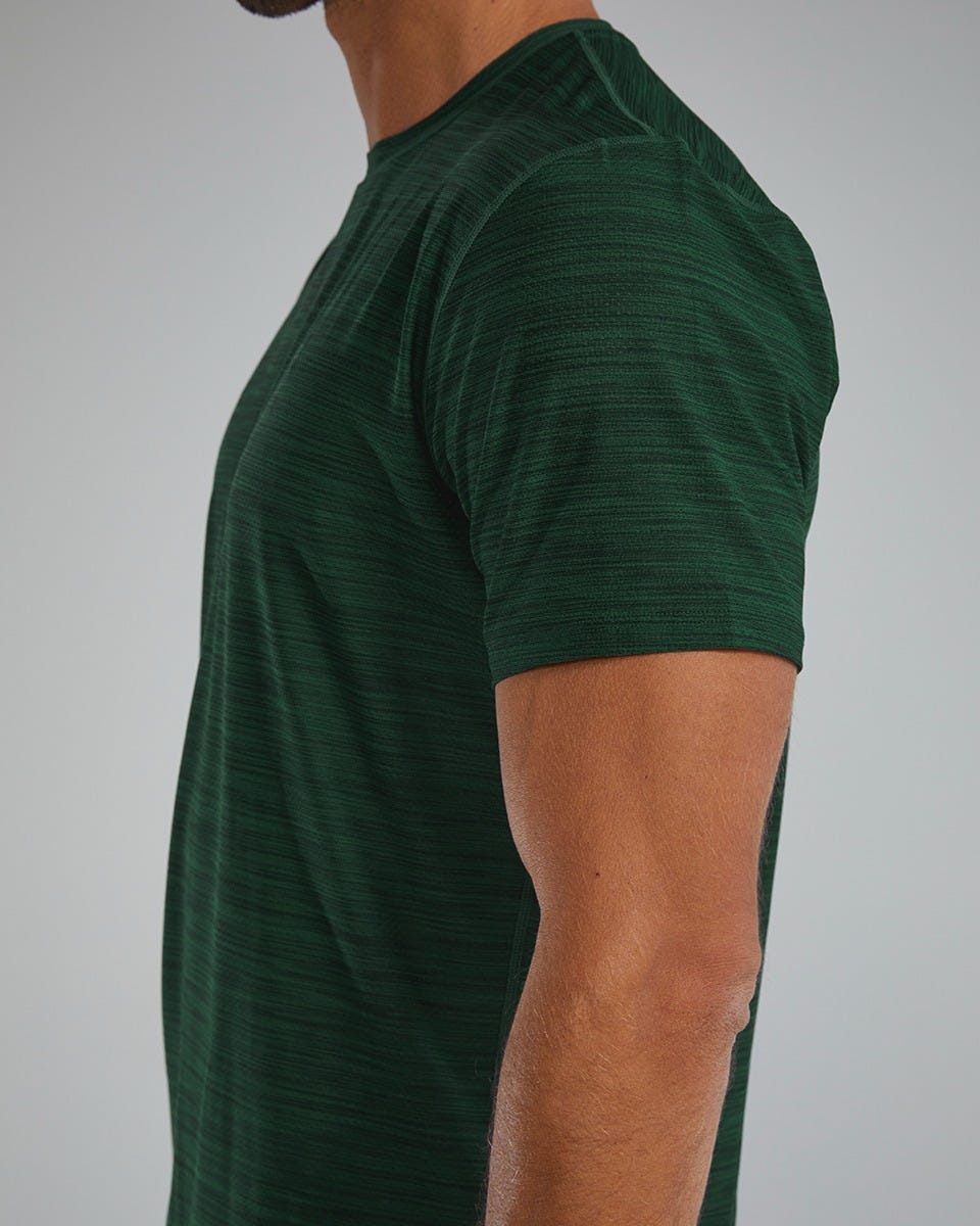 ::305 Evergreen