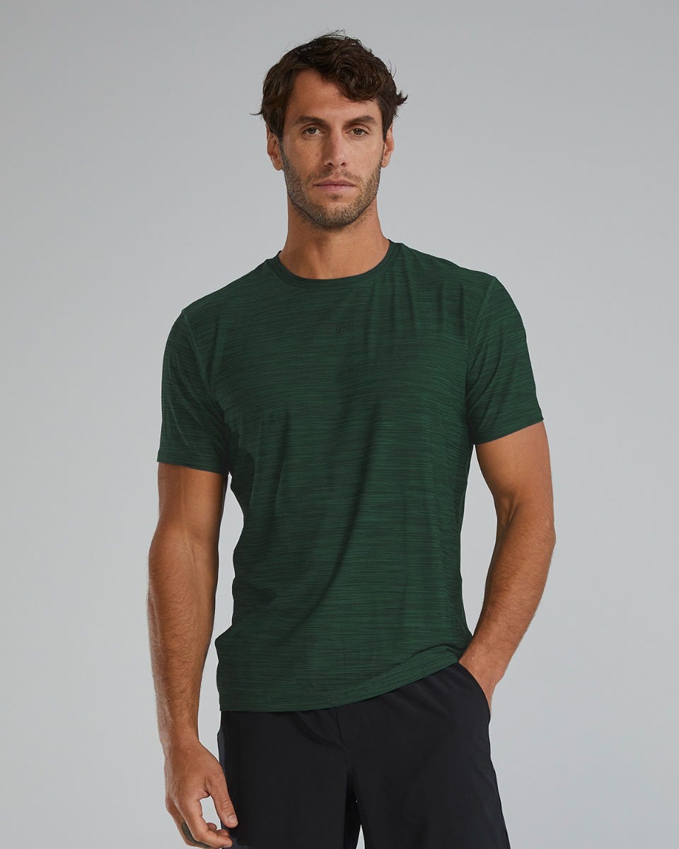 ::305 Evergreen